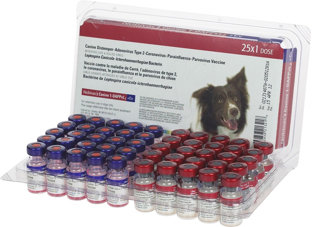 Vaccinazioni raccomandate per Cani: